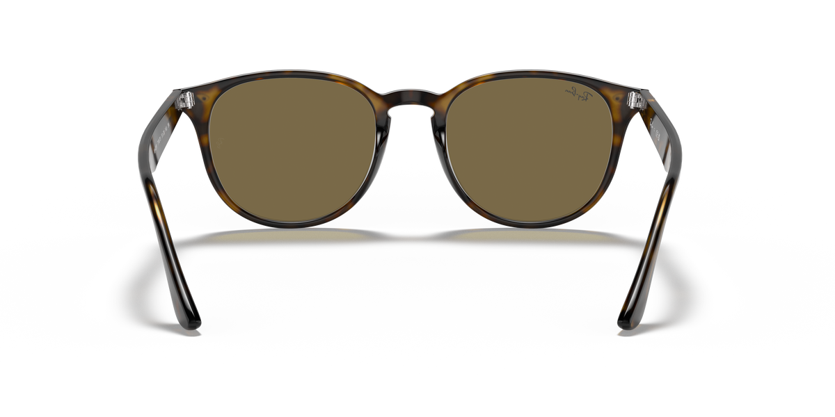 RB4259 - 710/73 sunglasses - view 22