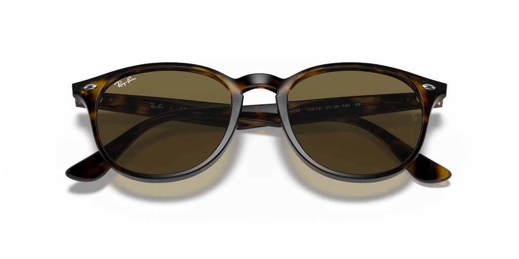 RB4259 - 710/73 sunglasses - view 23