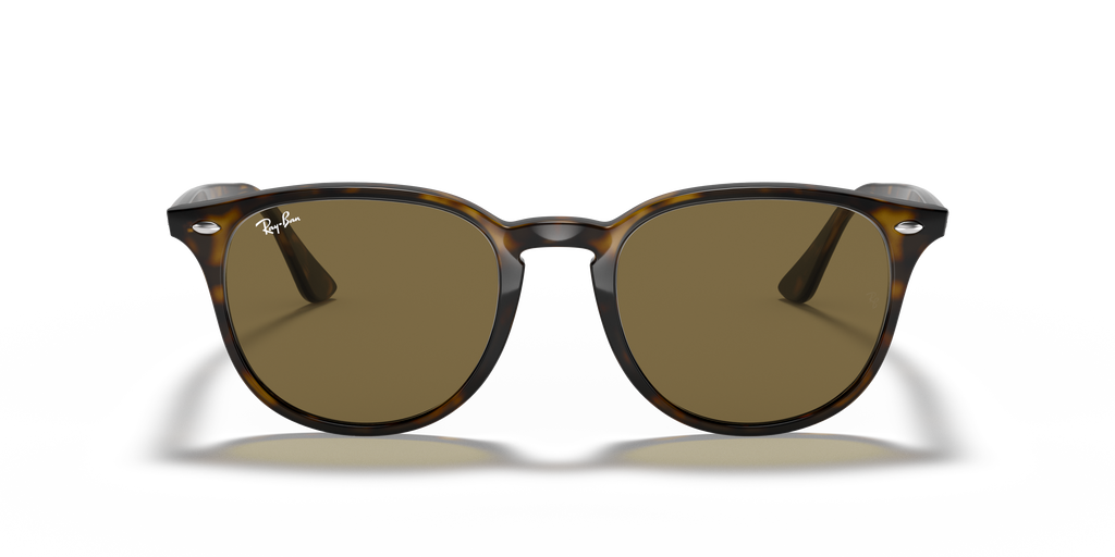 RB4259 - 710/73 sunglasses - view 24
