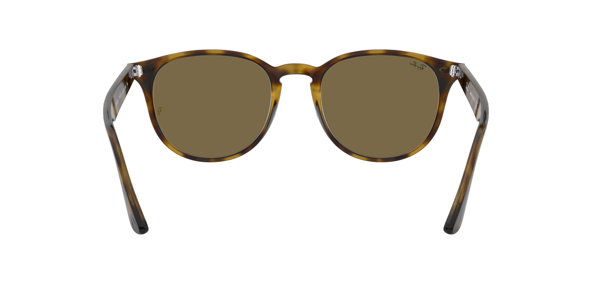 RB4259 - 710/73 sunglasses - view 8