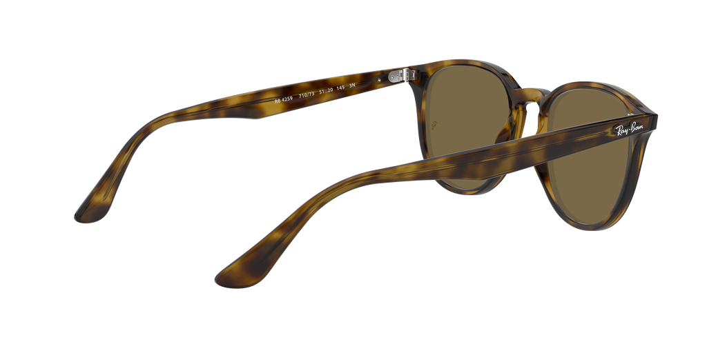RB4259 - 710/73 sunglasses - view 10