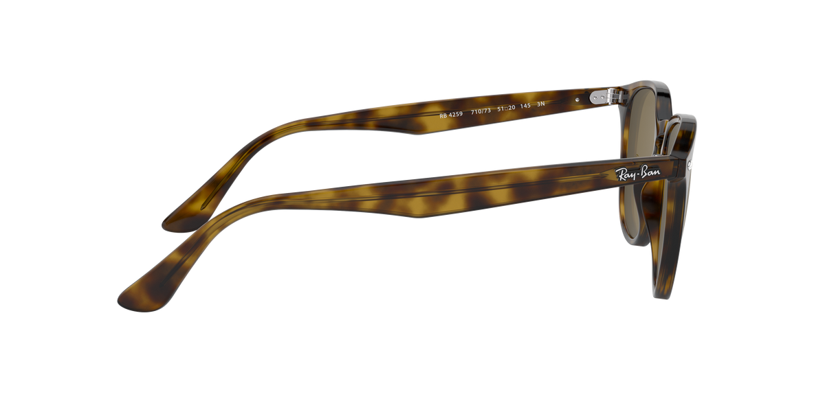RB4259 - 710/73 sunglasses - view 11