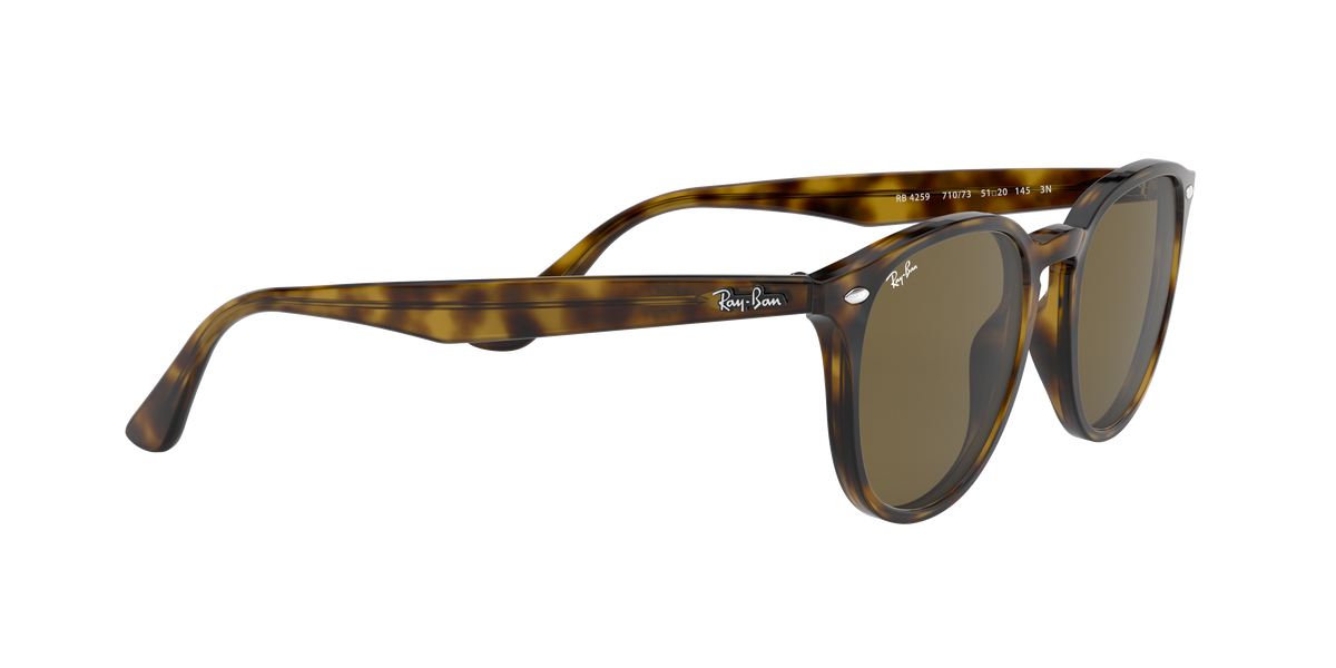RB4259 - 710/73 sunglasses - view 12